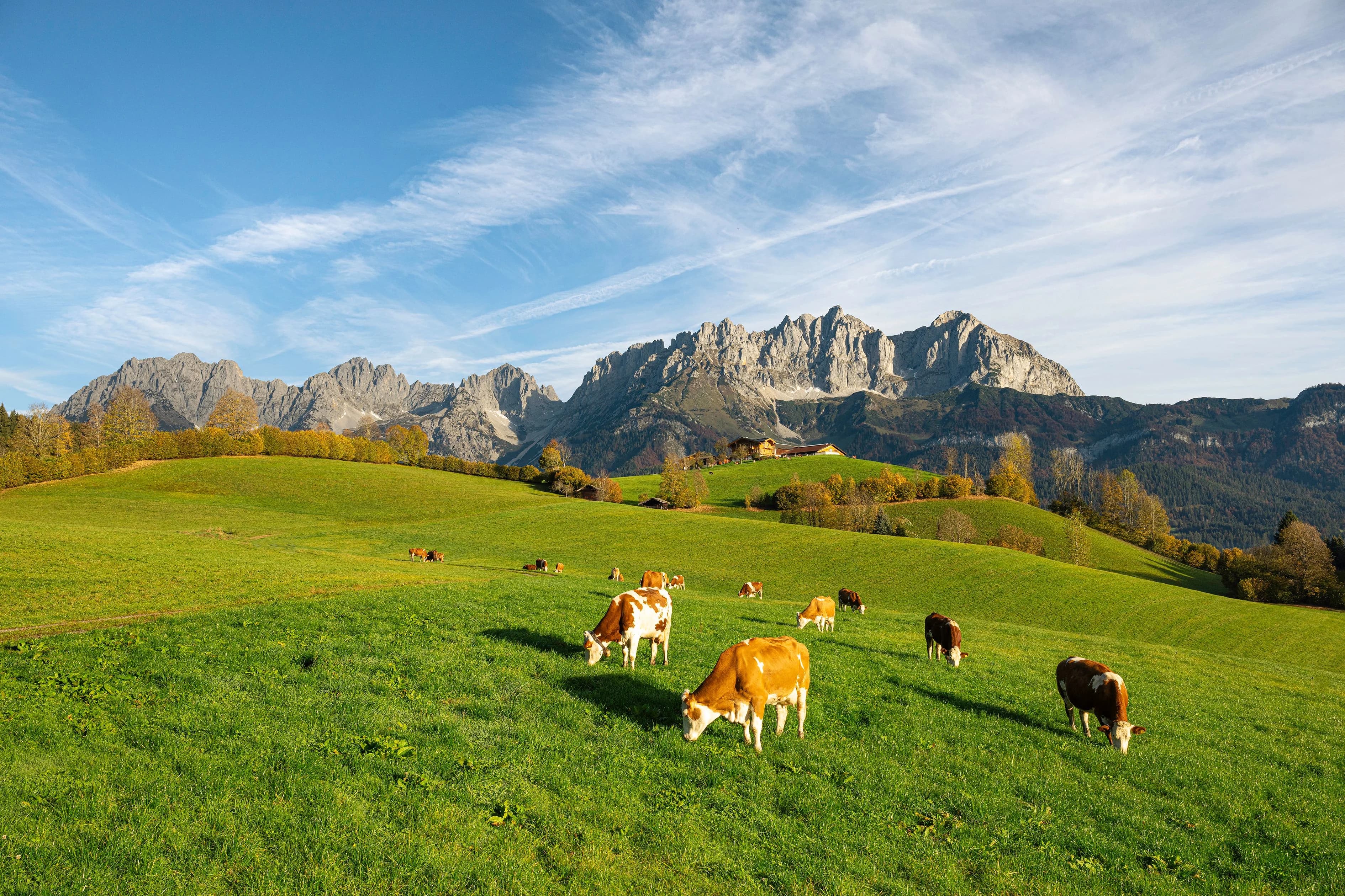 Die Region. - Sommer